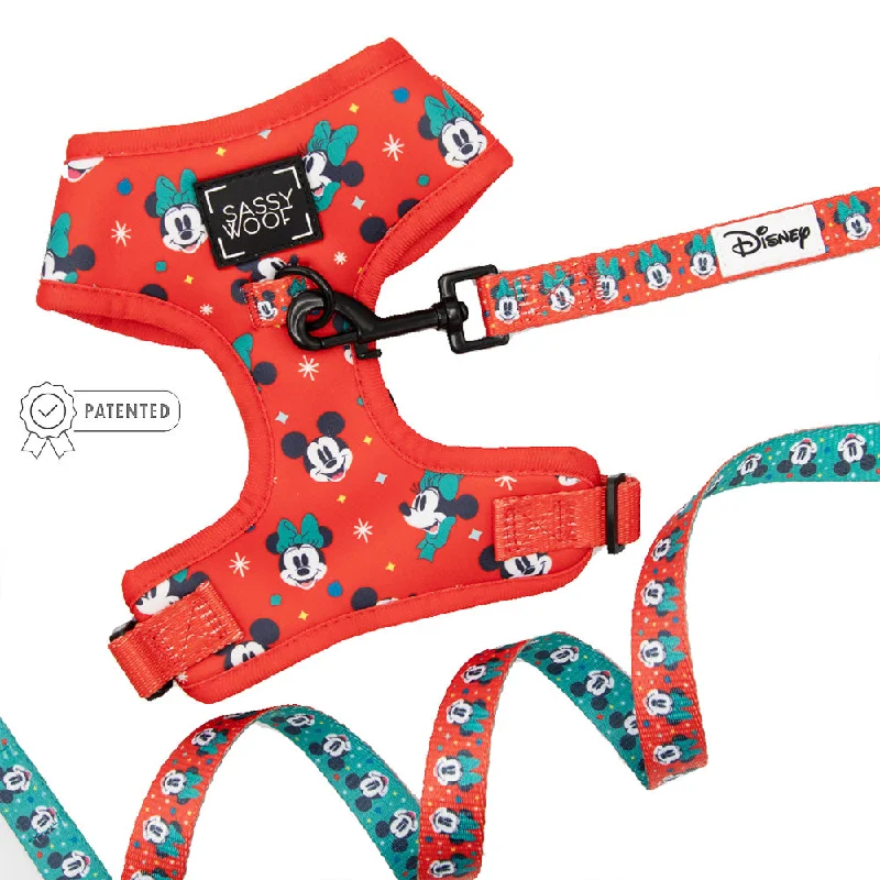 Dog Two Piece Bundle -  Disney Holiday Collection