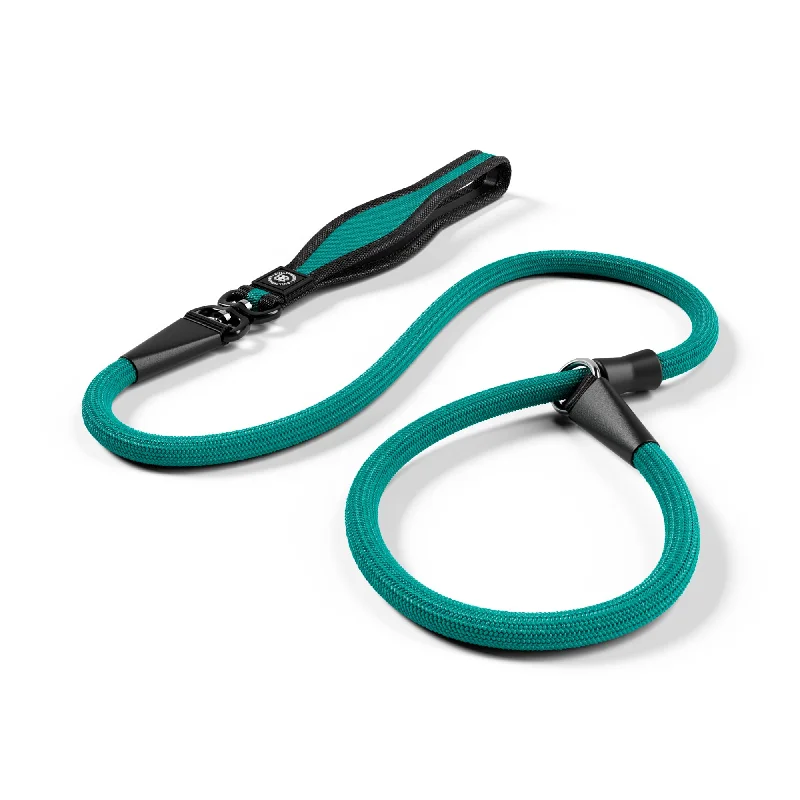 Slip Training Lead | Anti Pull & No Choking -  Turquoise