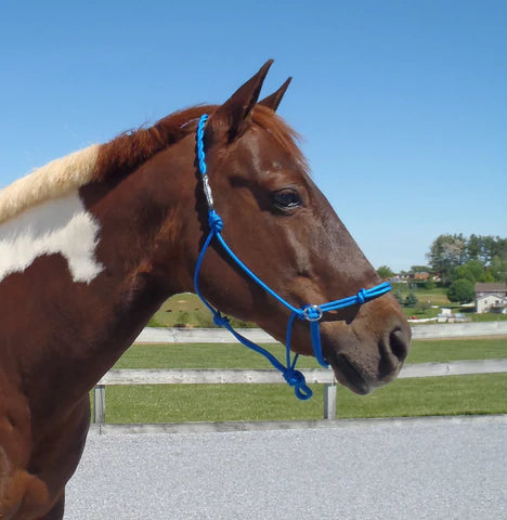 Scott Purdum Advantage Horsemanship Bitless Halter Bridle