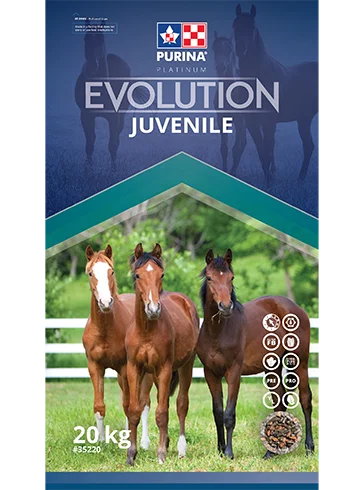 Purina Evolution Juvenile 20kg