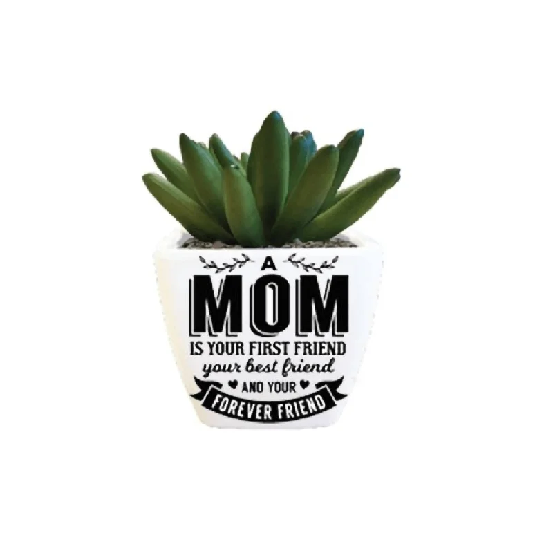 H & H Gifts : Succulent - A Mom Is Your First Friend, Your Best Friend & Your Forever Friend