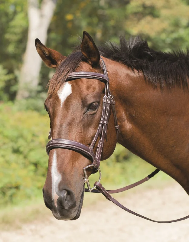 Avignon Wellington Bridle