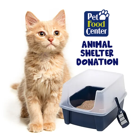 Shelter Cat Litter and Litter Box - Let us Pick for You - Newlife