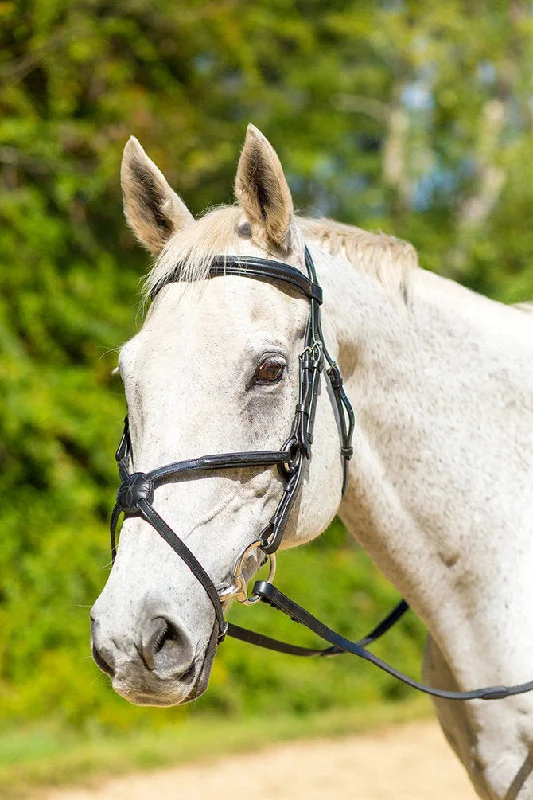 Avignon Woodside Figure 8 Bridle