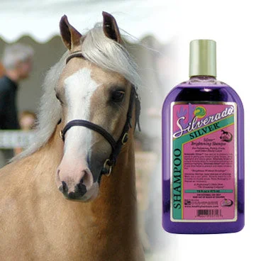 Silverado Silver Shampoo 16oz