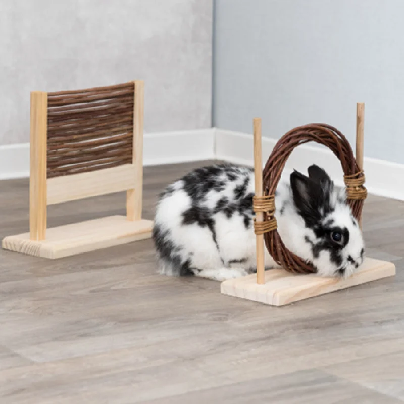 Agility Set for Small Animals